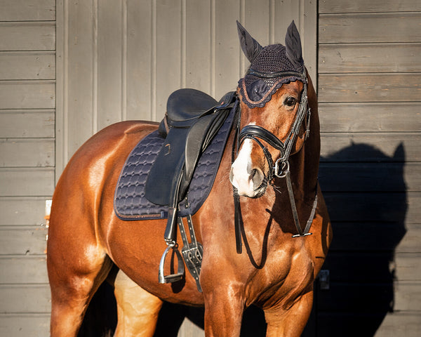 Saddle Pad Hailyn by QHP