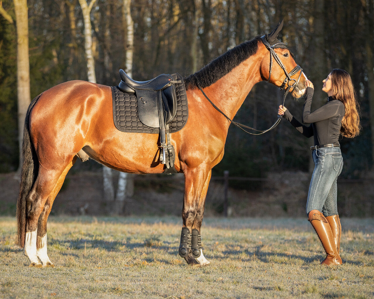 Hailyn breeches Full grip by QHP