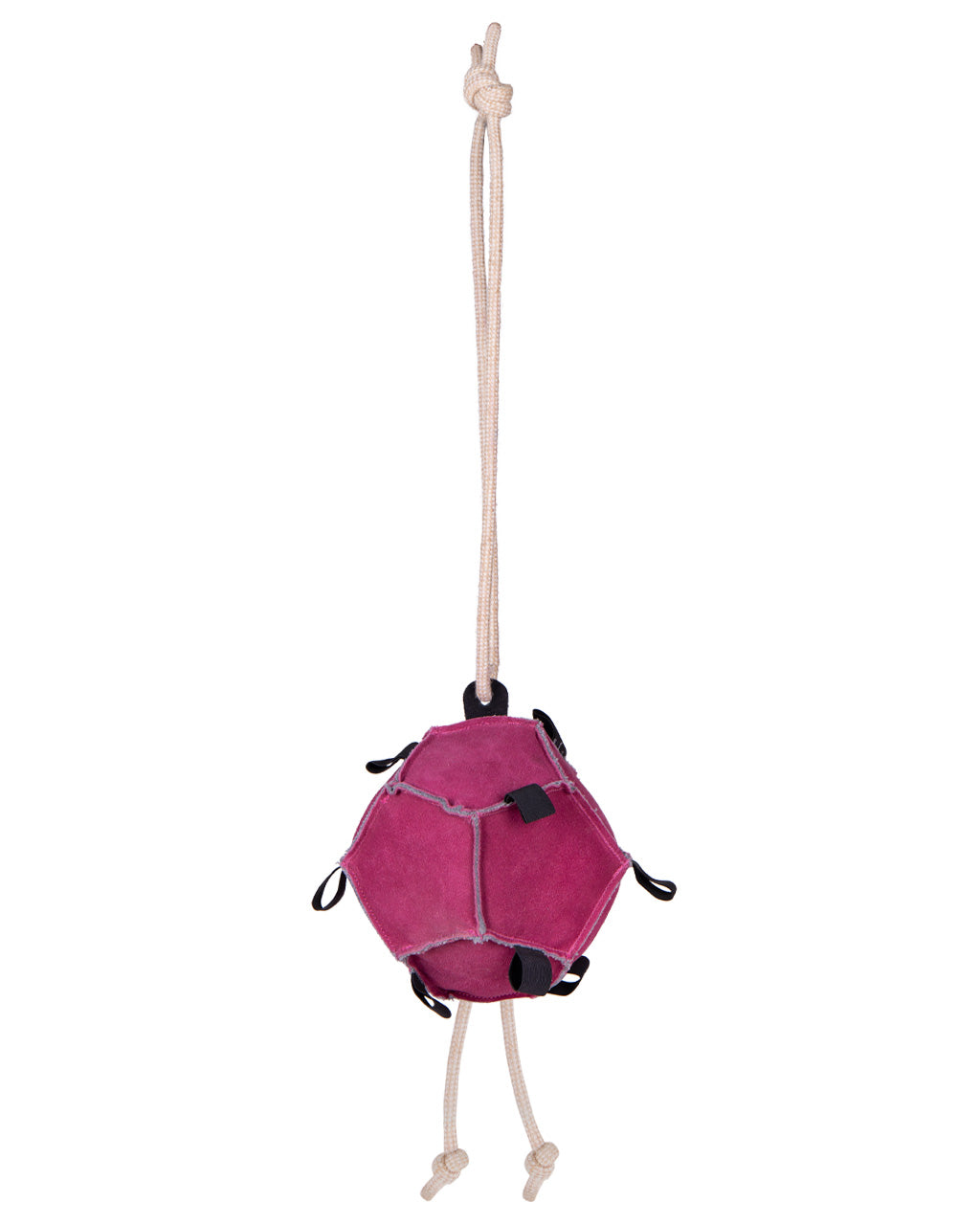 Horse Ball Toy by QHP-pink