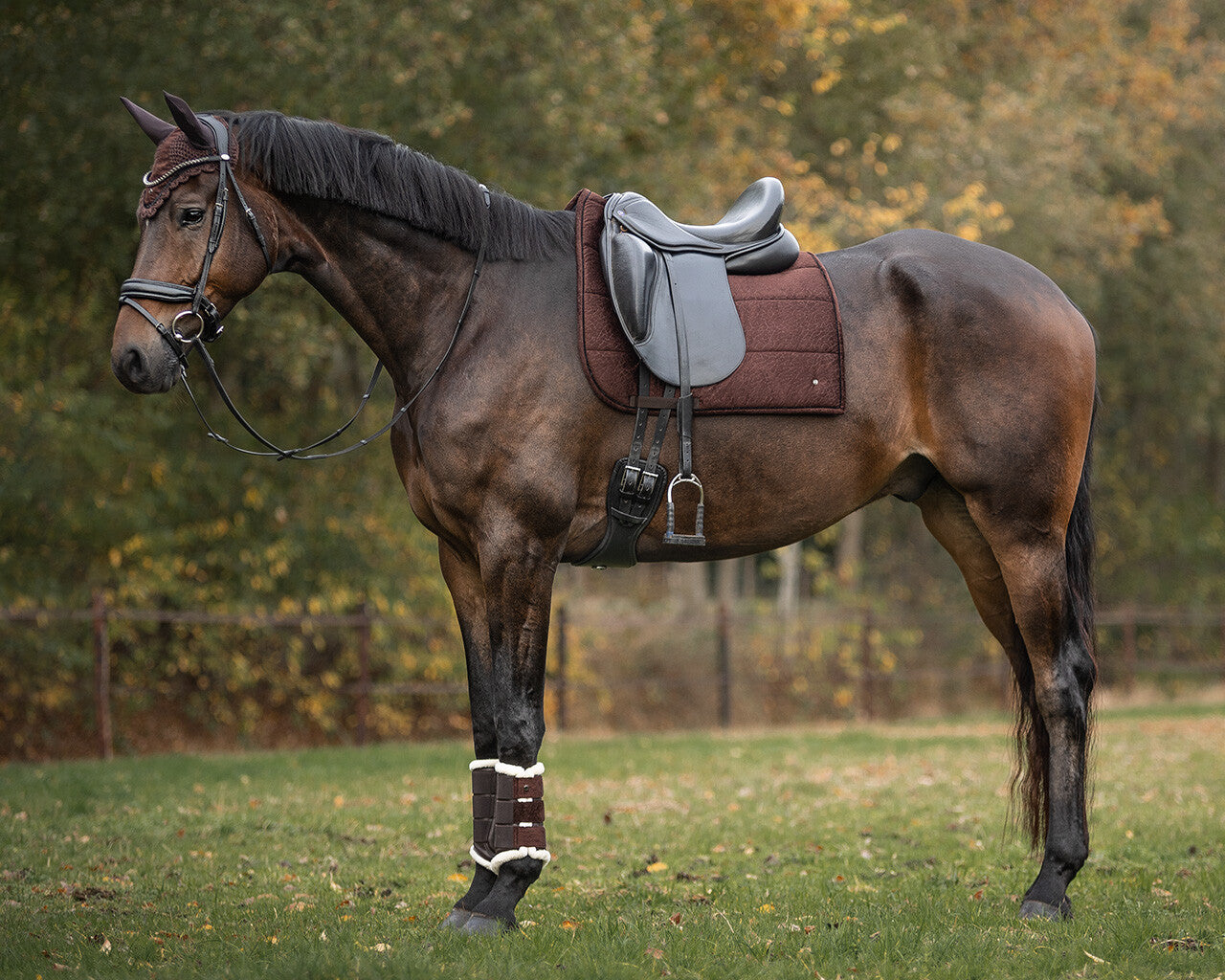 Saddle Pad Julia by QHP