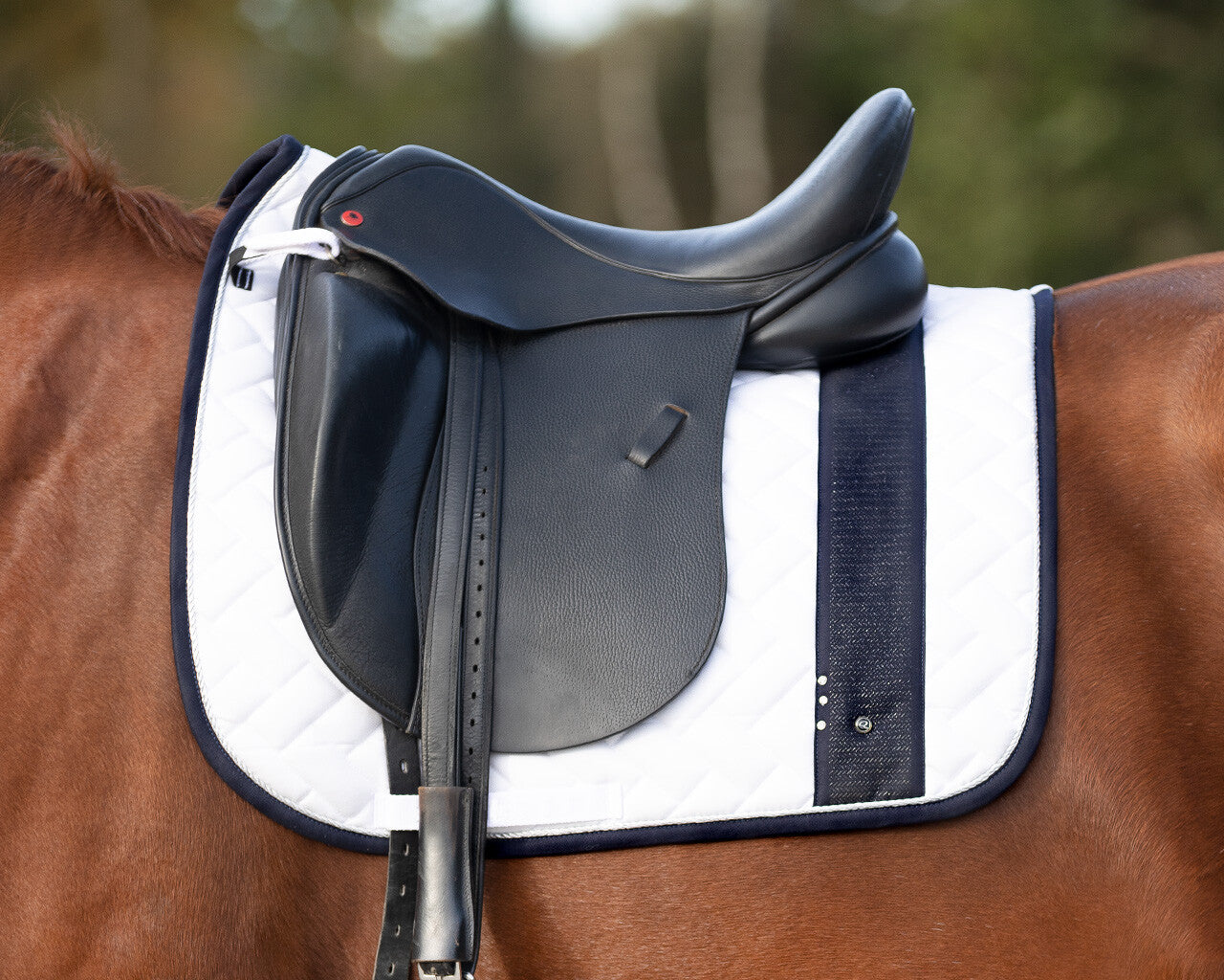 Saddle Pad Kai by QHP