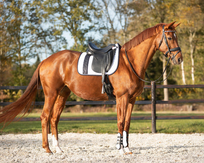 Saddle Pad Kai by QHP