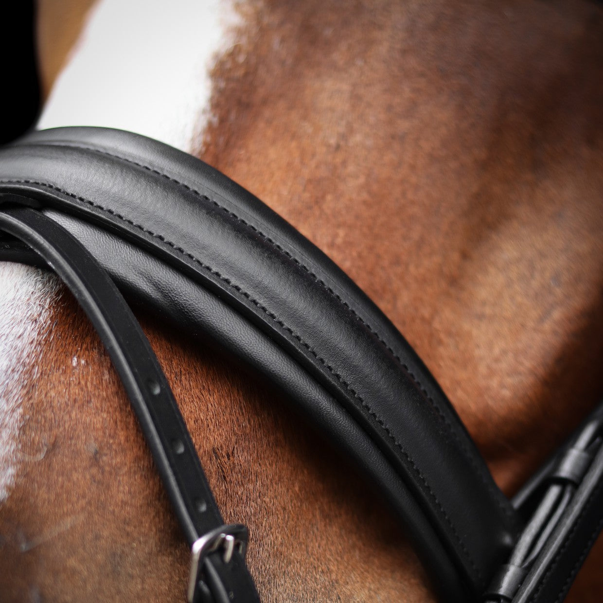 L'Unique Bridle SD-Design