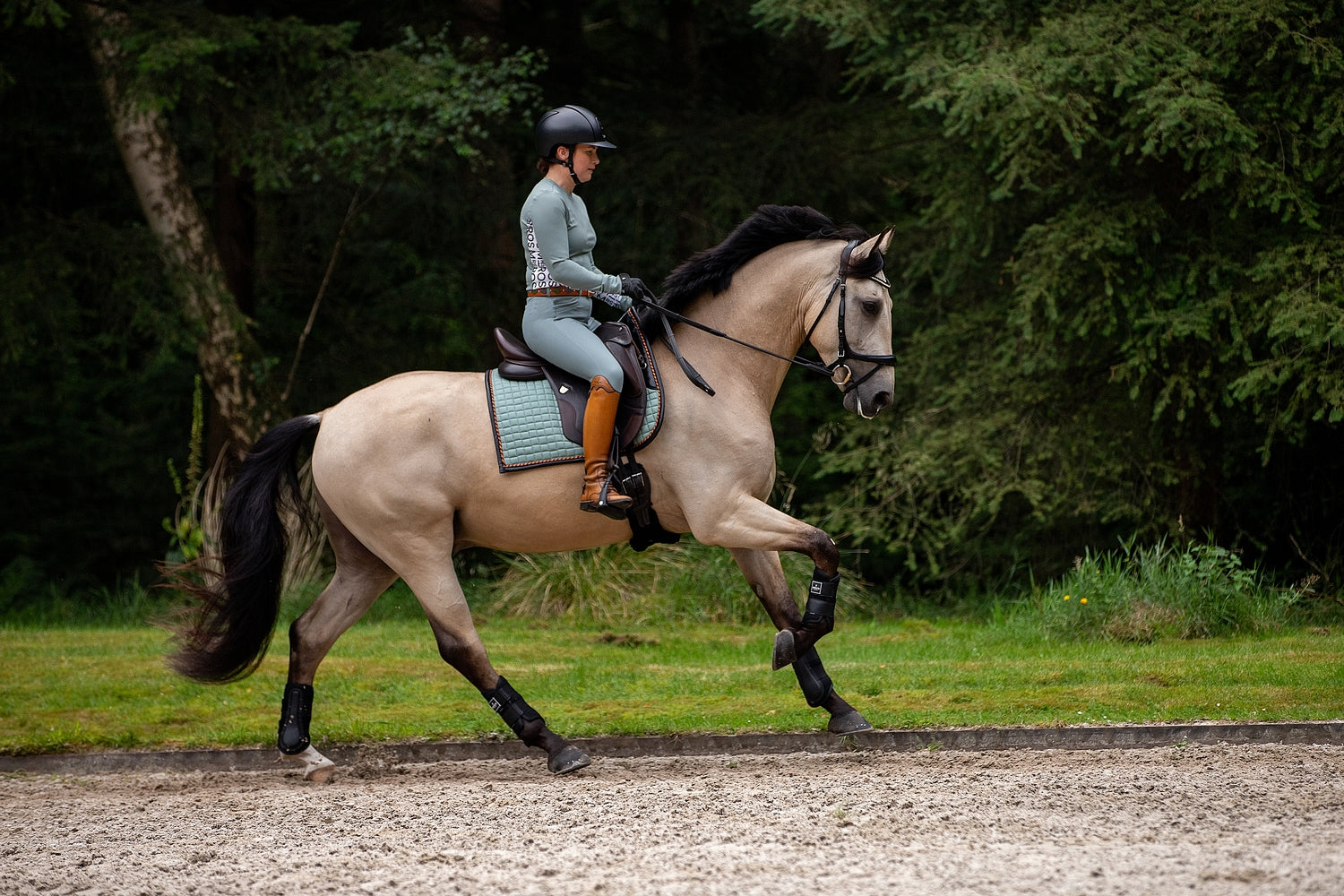 ICONIC Dressage Saddle Pad-Lavendar Fields Pistachio