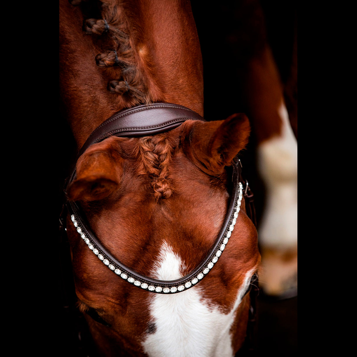 SD Design Brown Leerox Convertible Pony Bridle