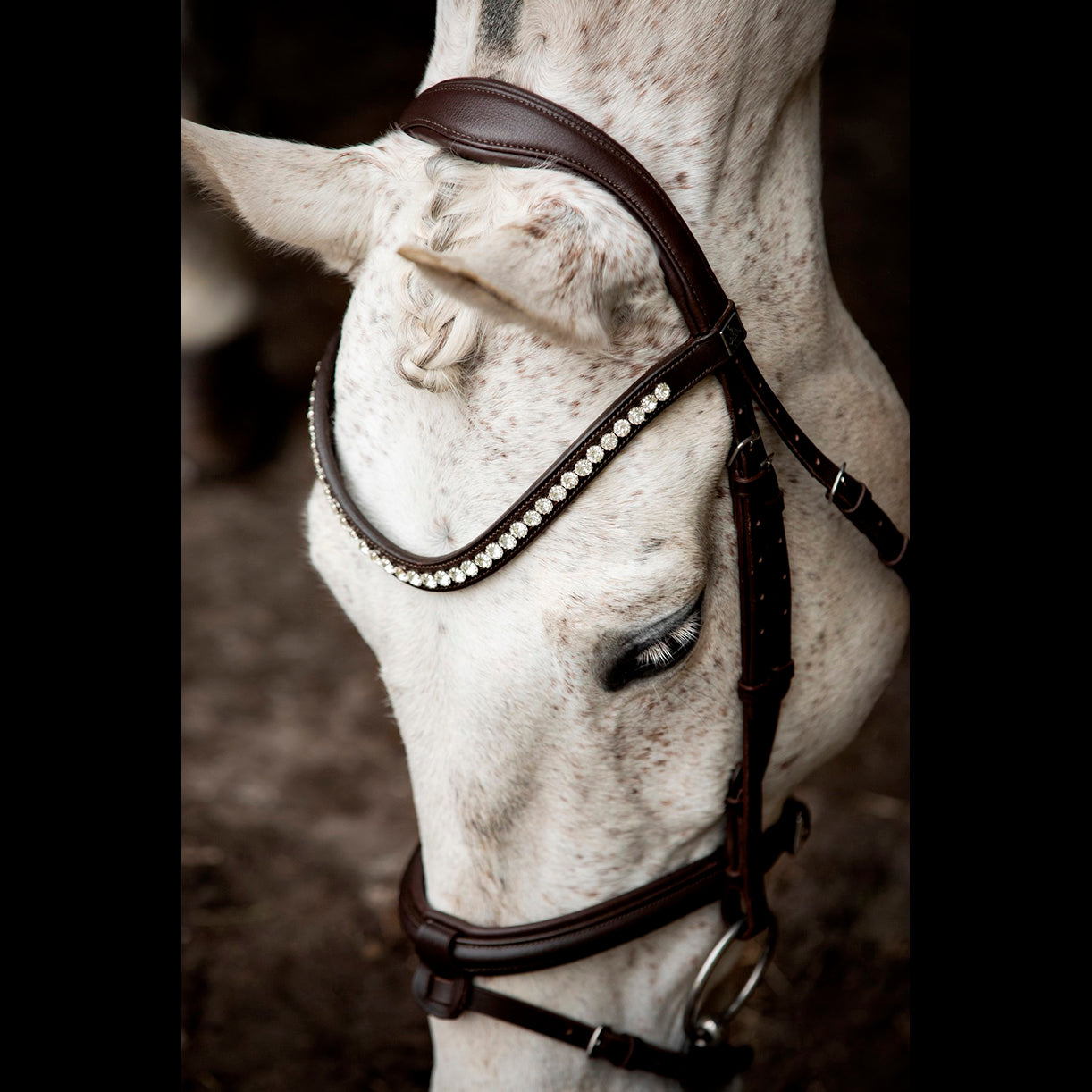 SD Design Brown Leerox Convertible Pony Bridle