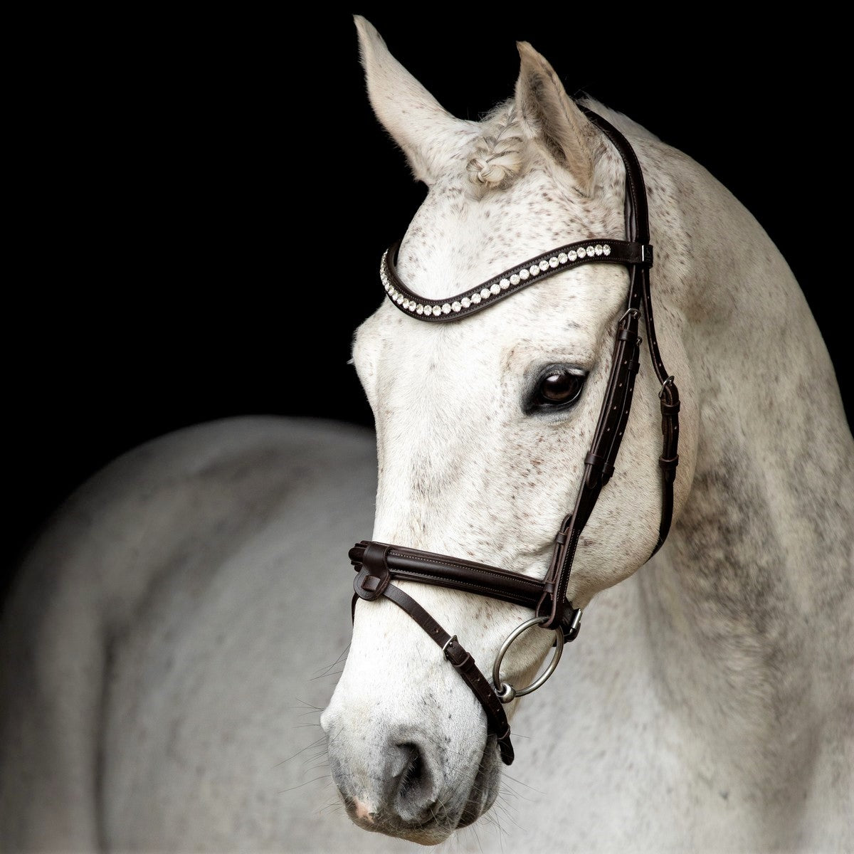 SD Design Brown Leerox Convertible Pony Bridle