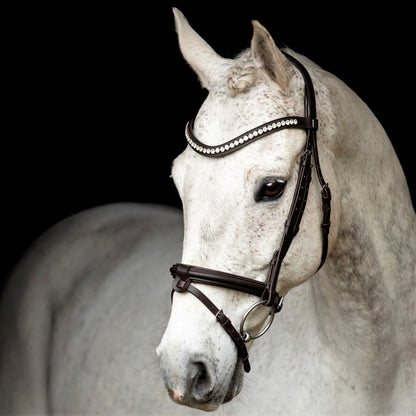 SD Design Leerox Convertible Bridle