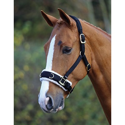 Shires Nylon Lunging Cavesson