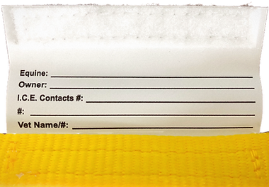 I.C.E. In Case of Emergency ManeStay ID