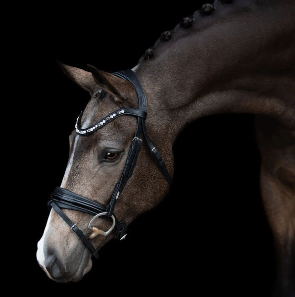 Mercury Bridle by Lumiere
