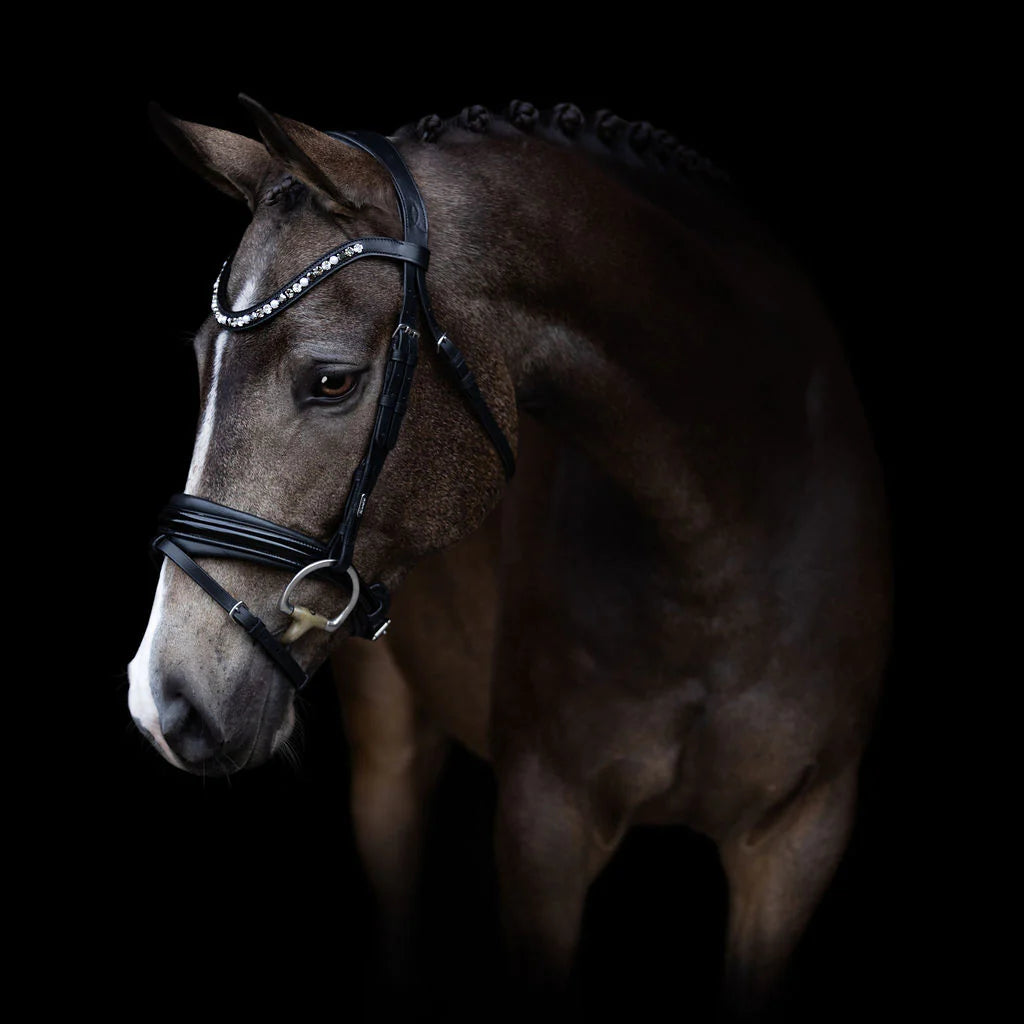 Mercury Bridle by Lumiere