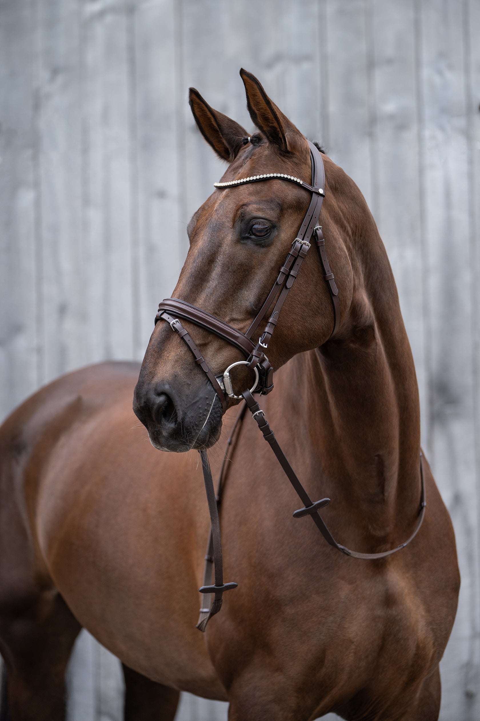 Mia Bridle by HKM