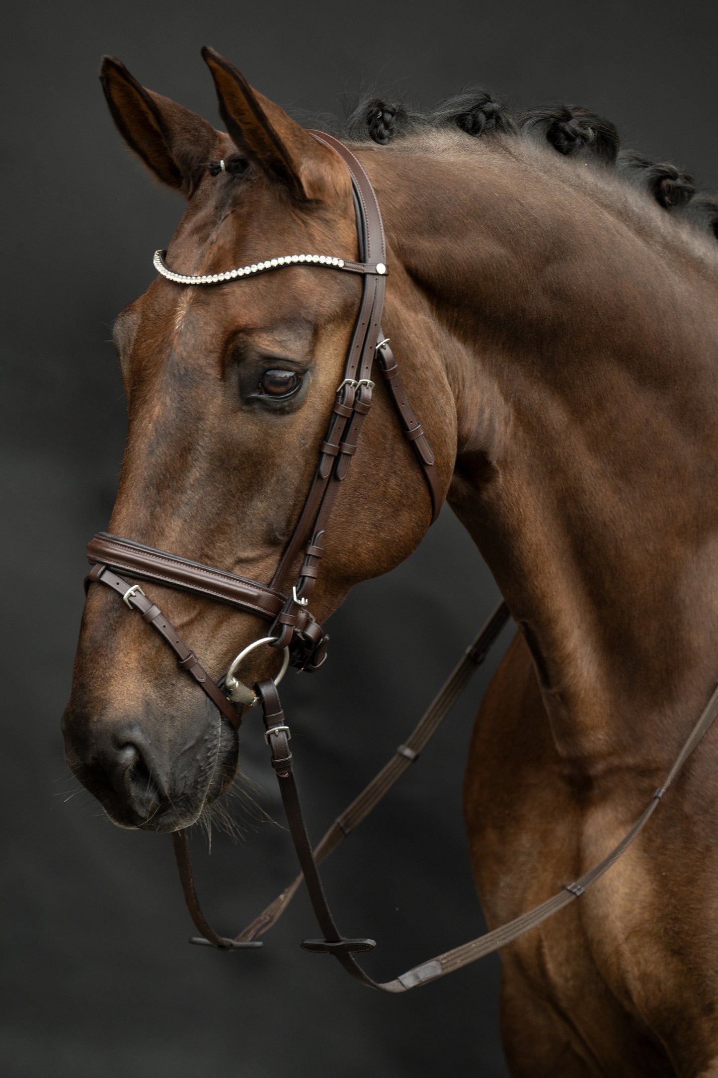 Mia Bridle by HKM