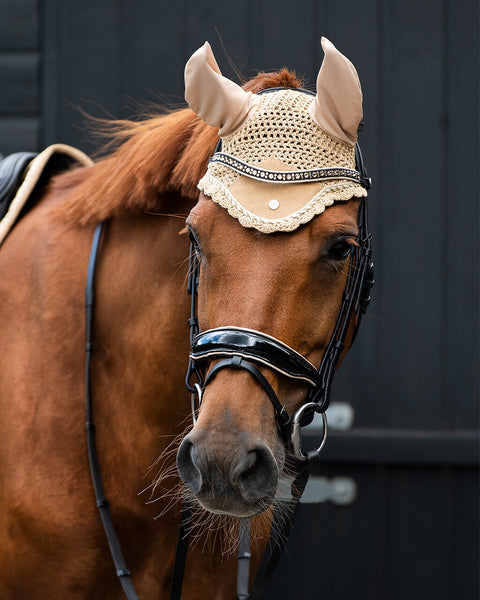 Bridle Orlando by QHP Brands of Q