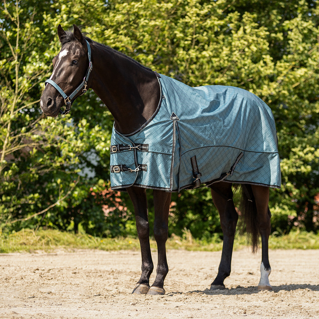 Fleece Lined turnout Rug by QHP