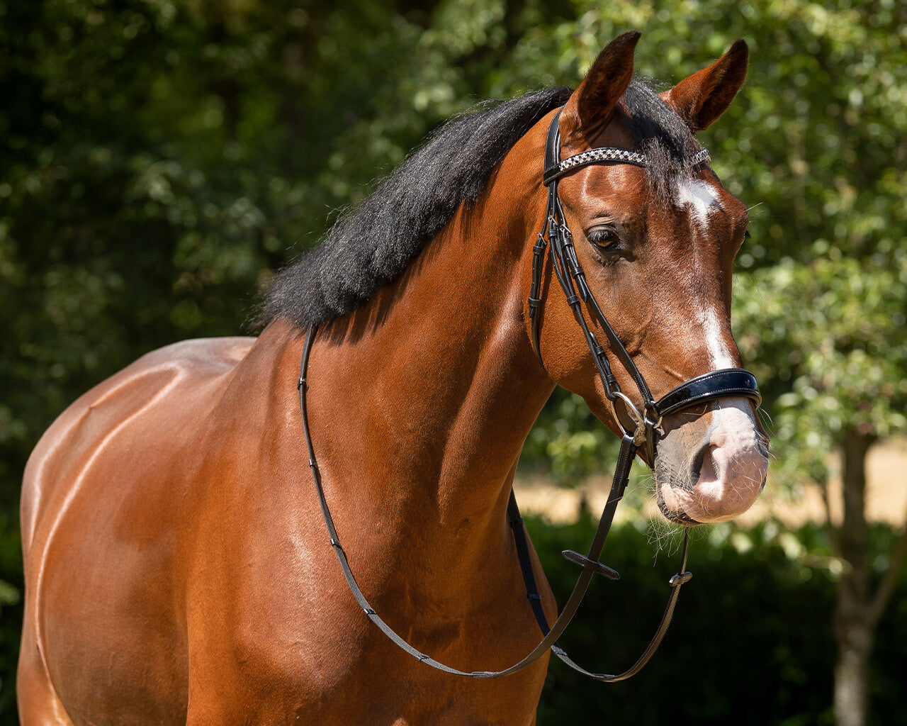 Phaedra Bridle-drop noseband by QHP