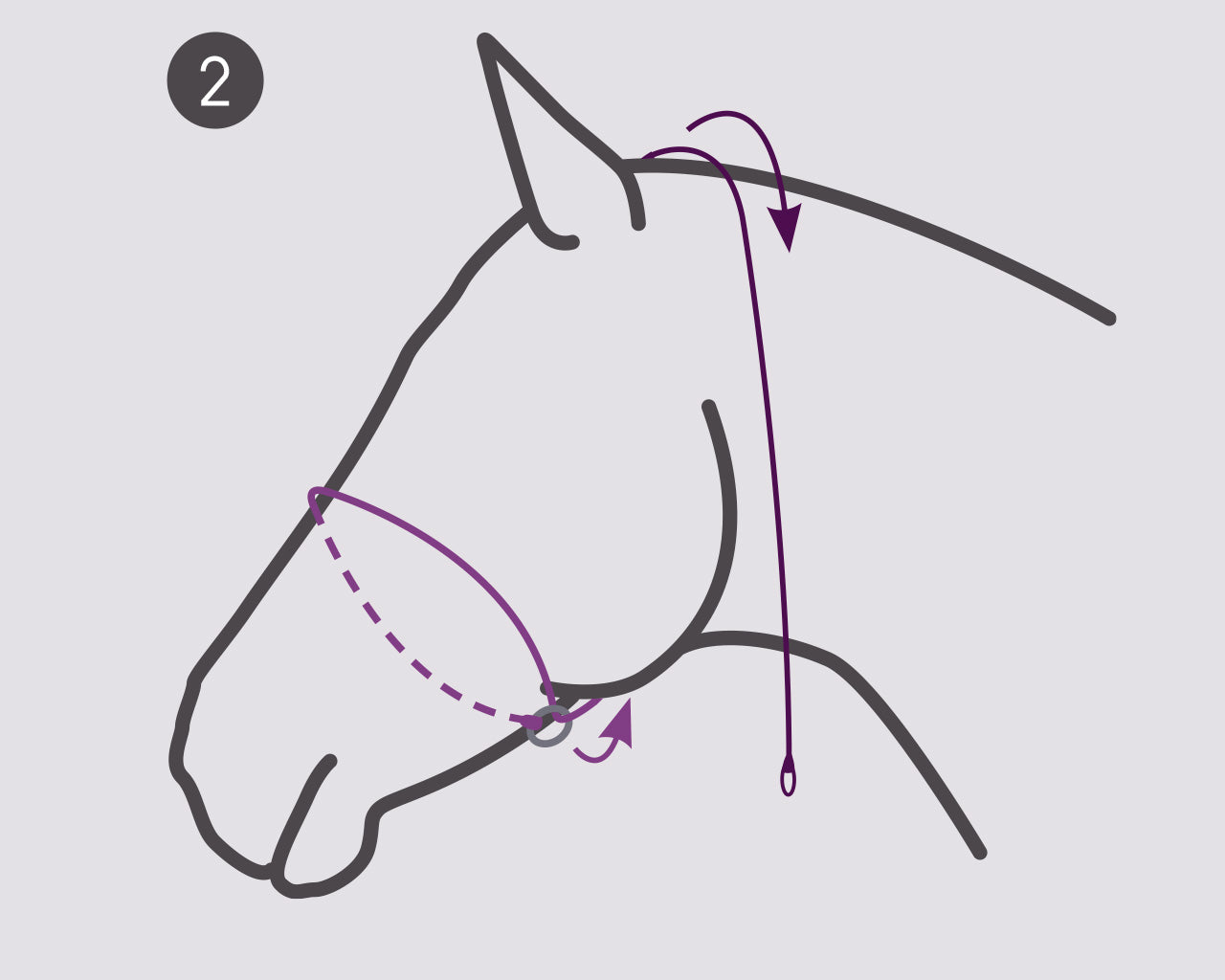 Photography Halter by QHP