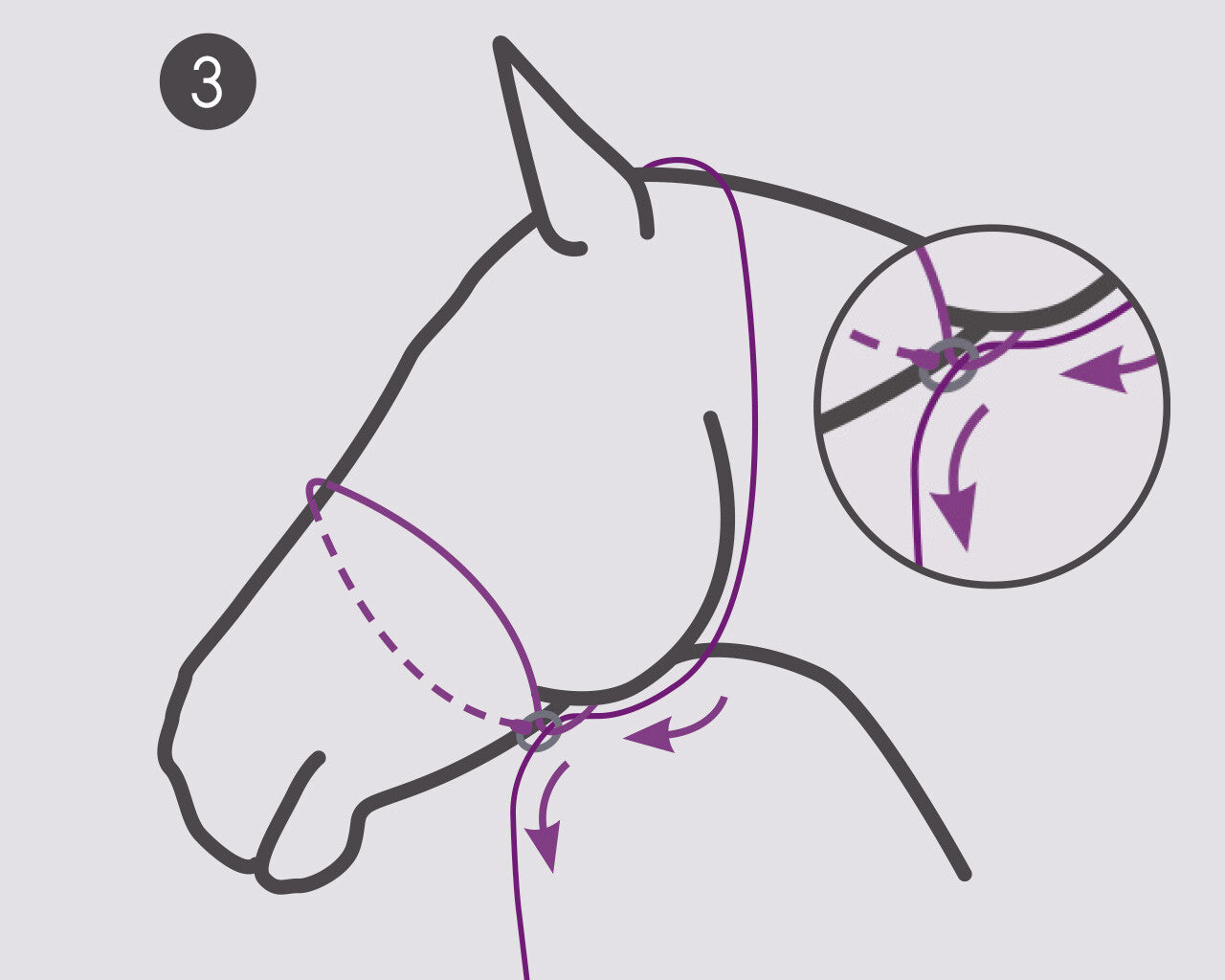 Photography Halter by QHP