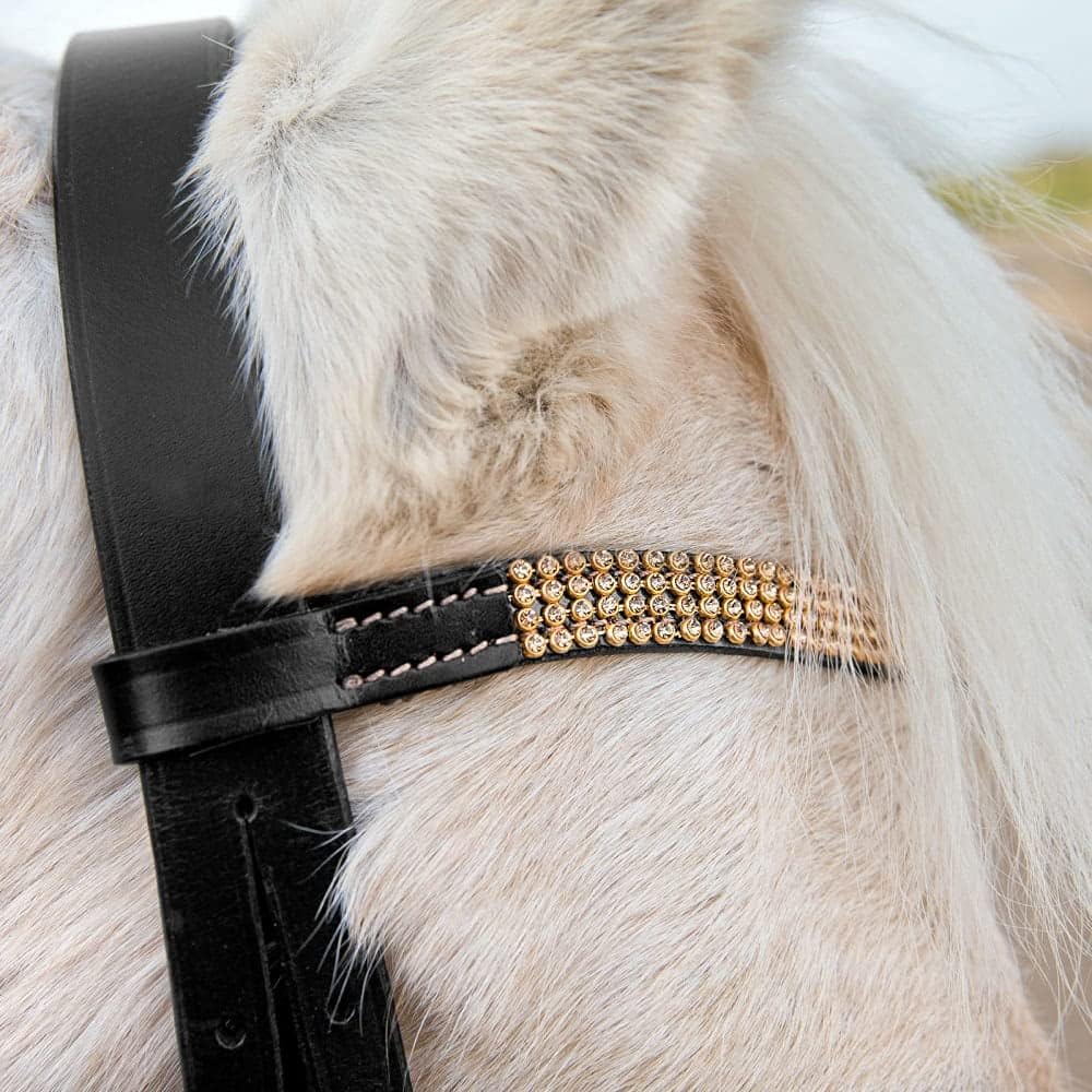 Horze Kids and Ponies Flash Bridle