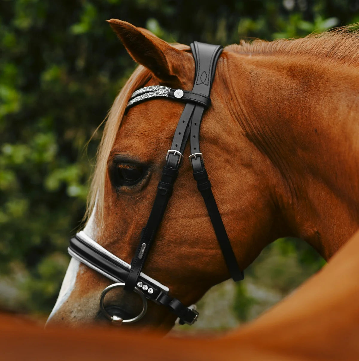 Princess Bridle (Lumi Pony)