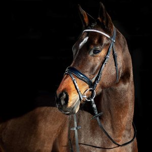 Horze Rohan Snaffle Bridle cob size