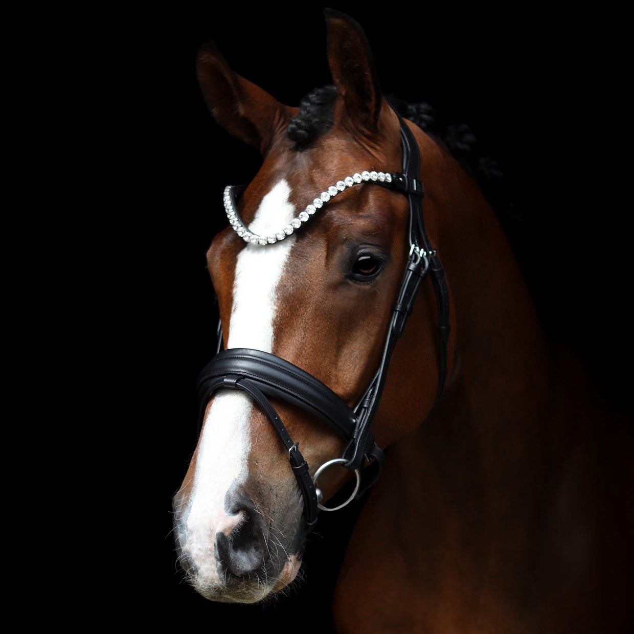 L'Unique Bridle SD-Design