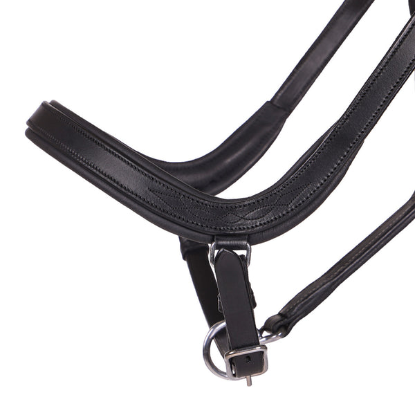 Salerno Head Collar