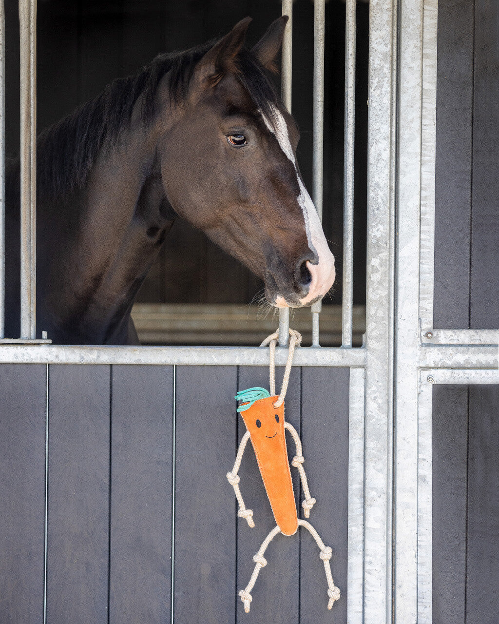 Small carrot top by QHP