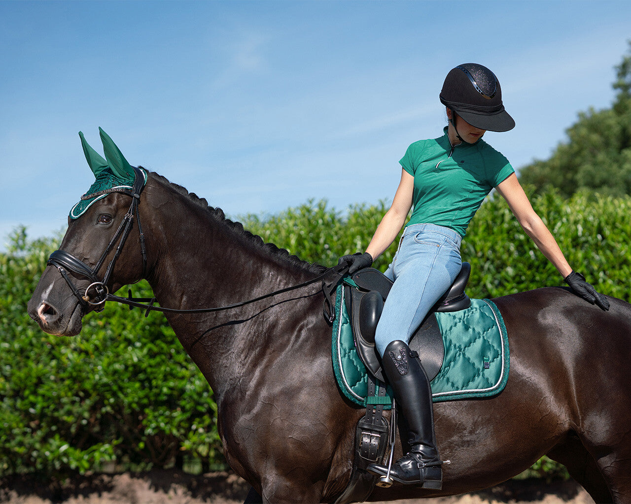 QHP Helmet Sun Visor