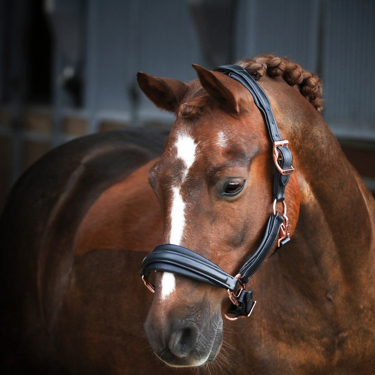 SD Design Super Soft Leather Halter