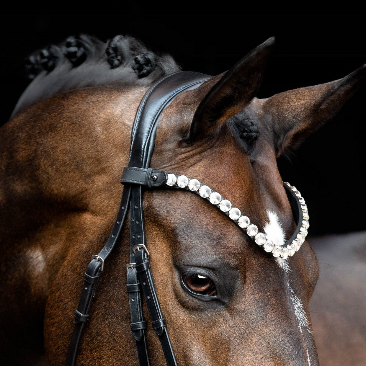 Valentino Browband by SD Design