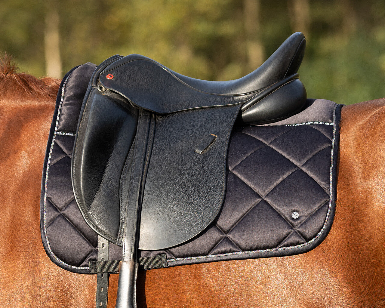 Saddle Pad World Tour by QHP