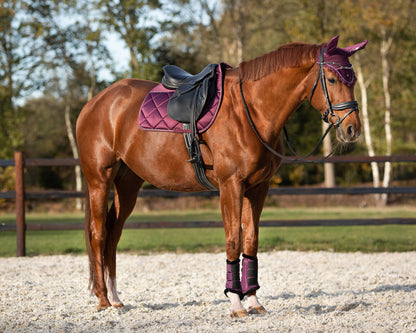 Saddle Pad World Tour by QHP