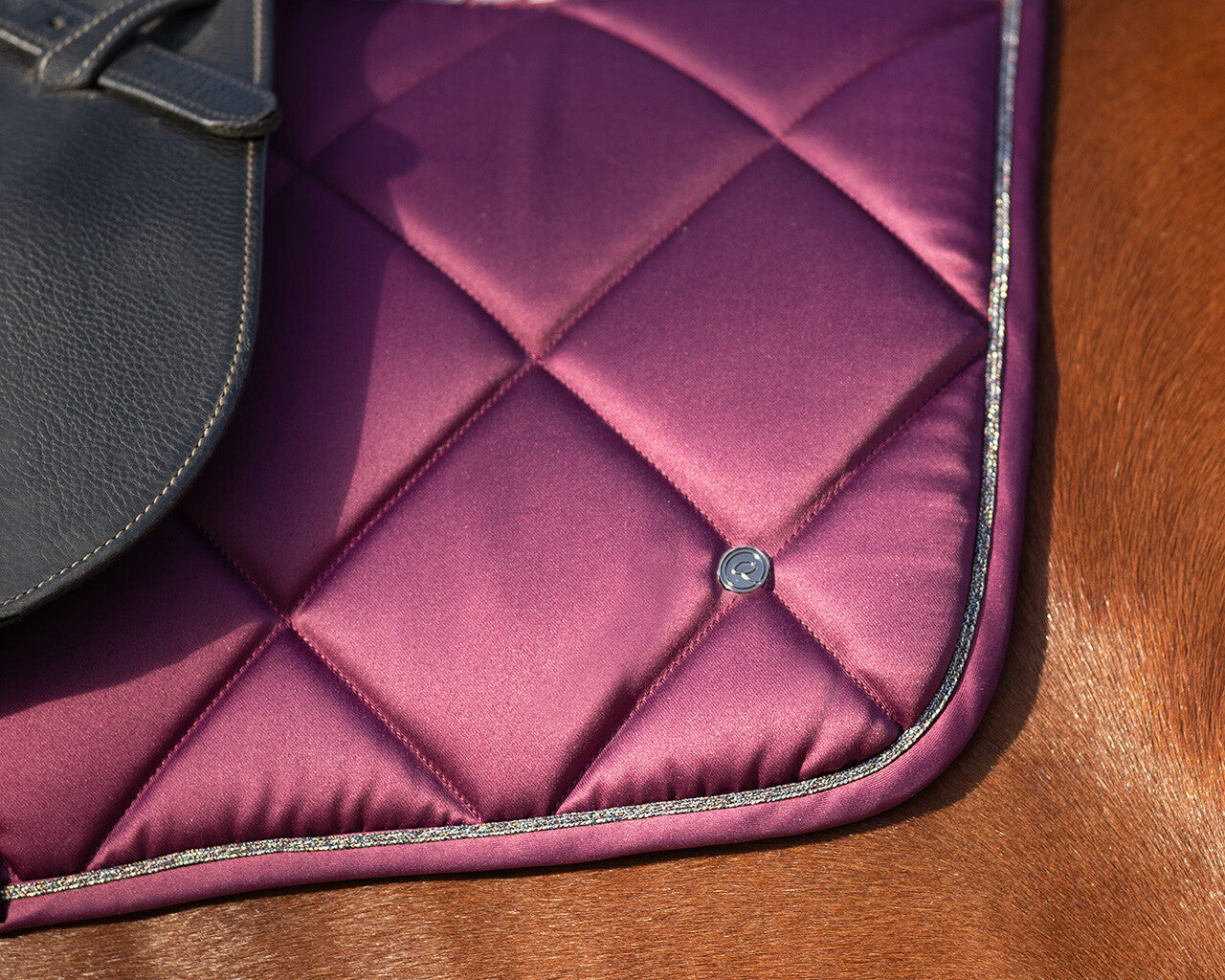 Saddle Pad World Tour by QHP