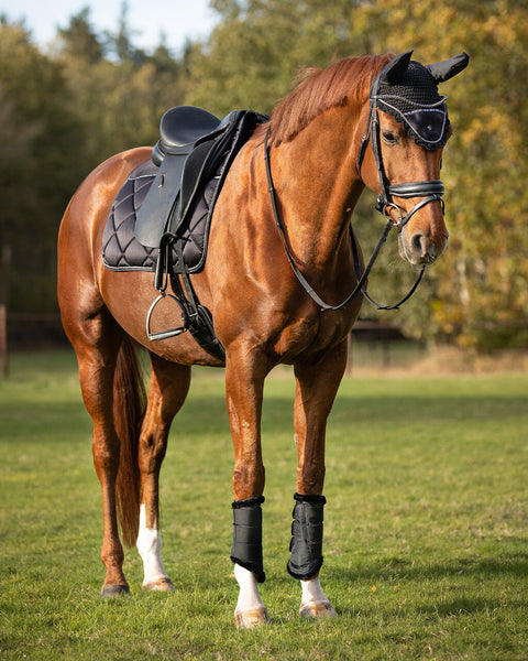 Saddle Pad World Tour by QHP