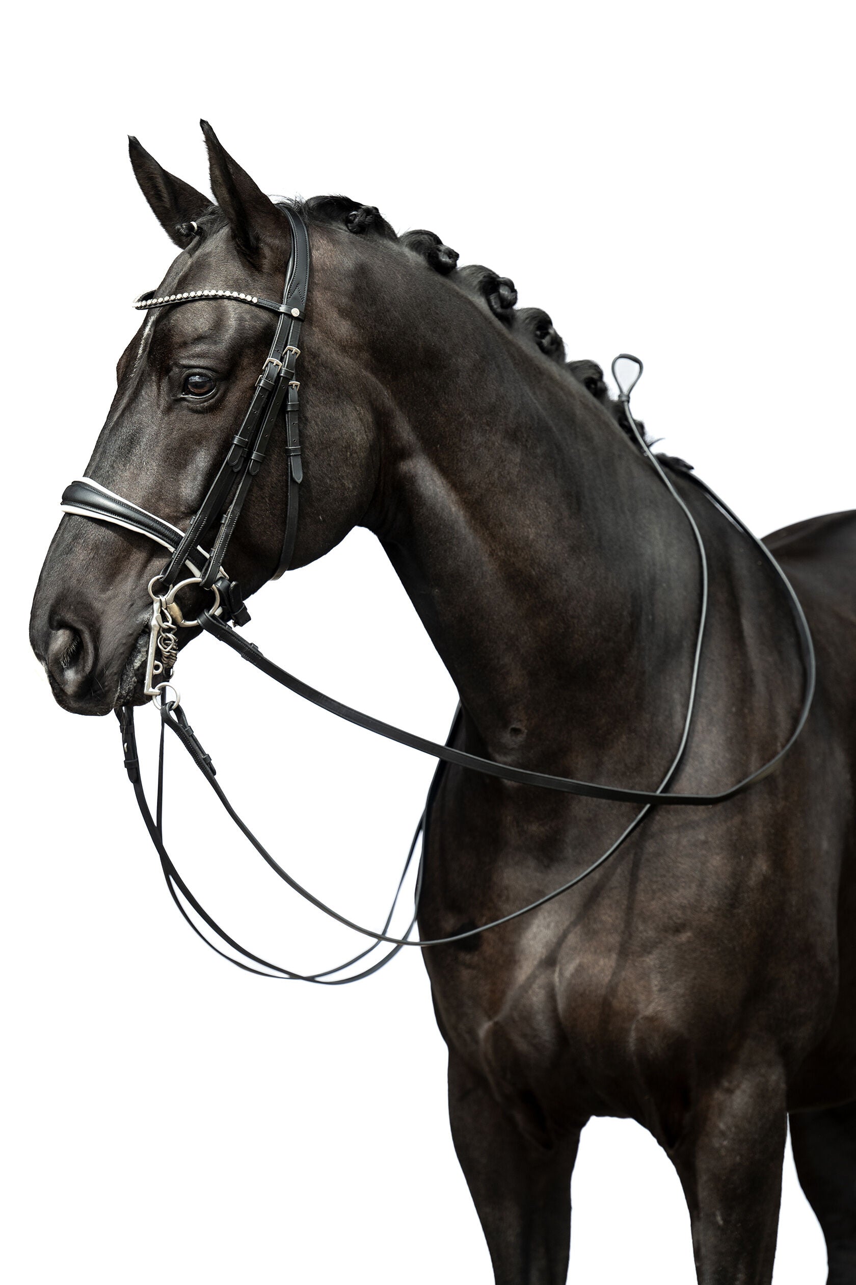HKM Double Bridle Dina in Cob and Pony sizes
