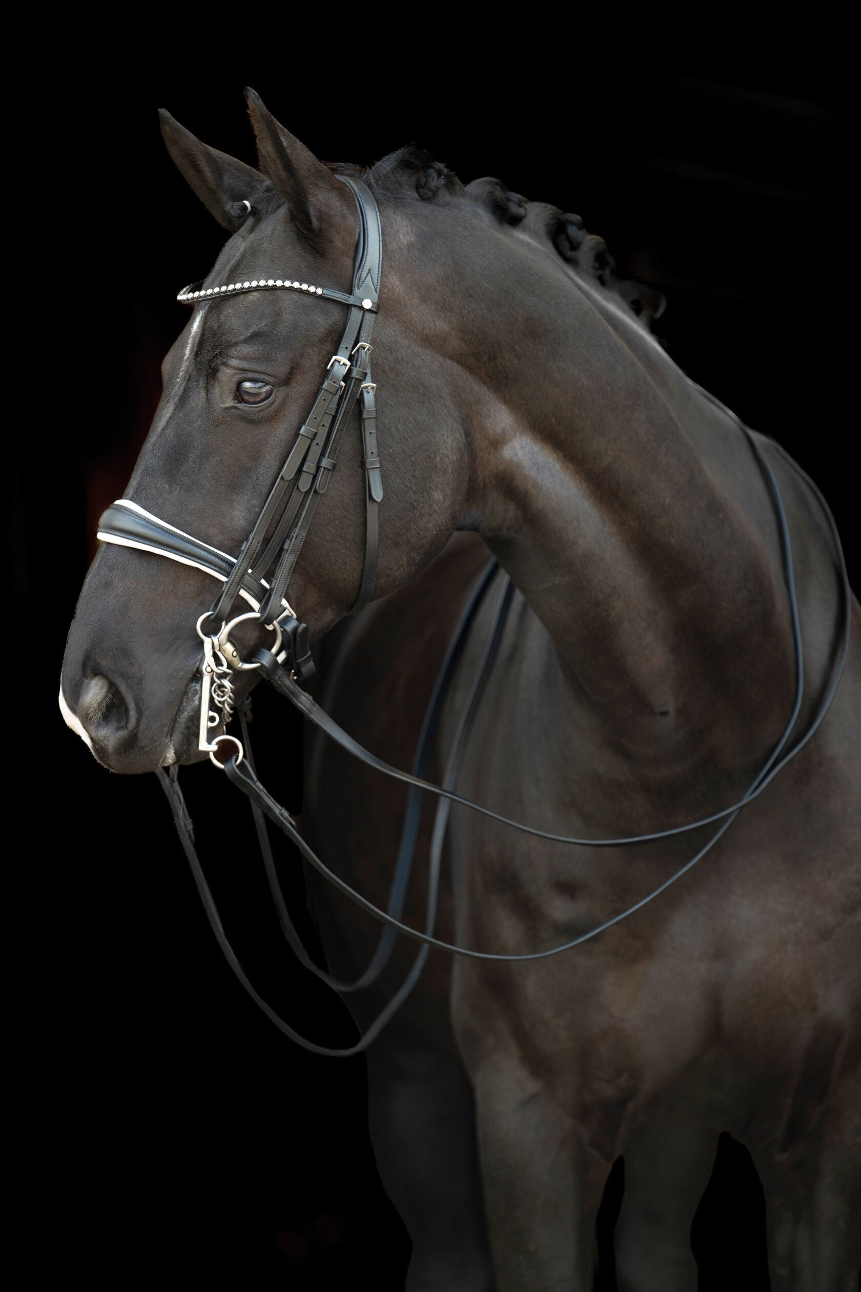HKM Double Bridle Dina in Cob and Pony sizes