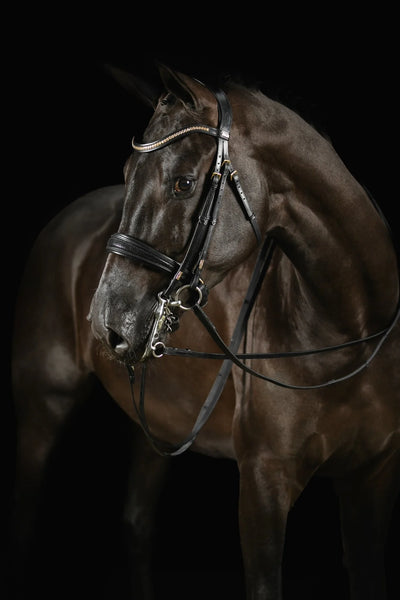 Deluxe Knight Power Double Bridle by MrsRos