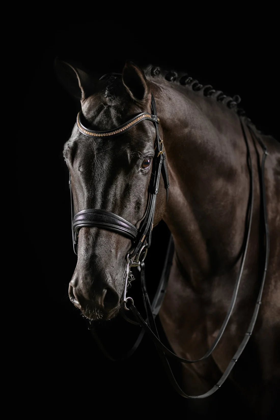 Deluxe Knight Power Double Bridle by MrsRos