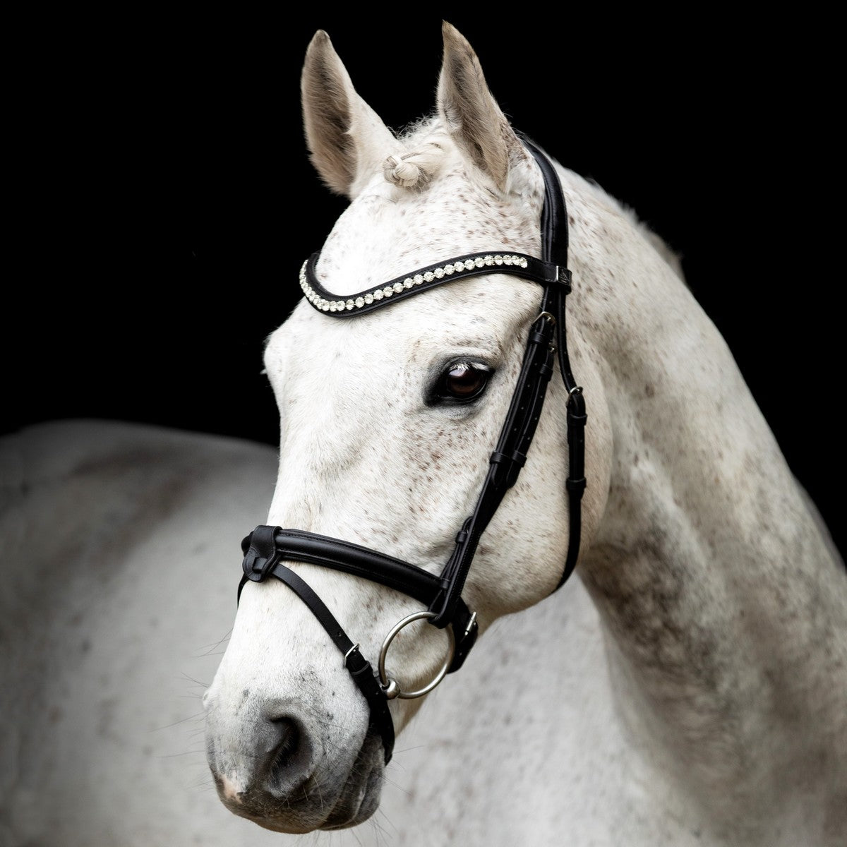 SD Noseband with Removable Flash