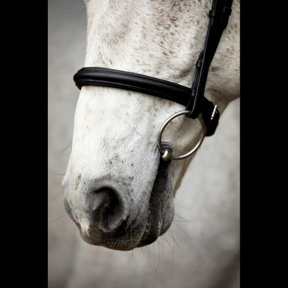 SD Noseband with Removable Flash