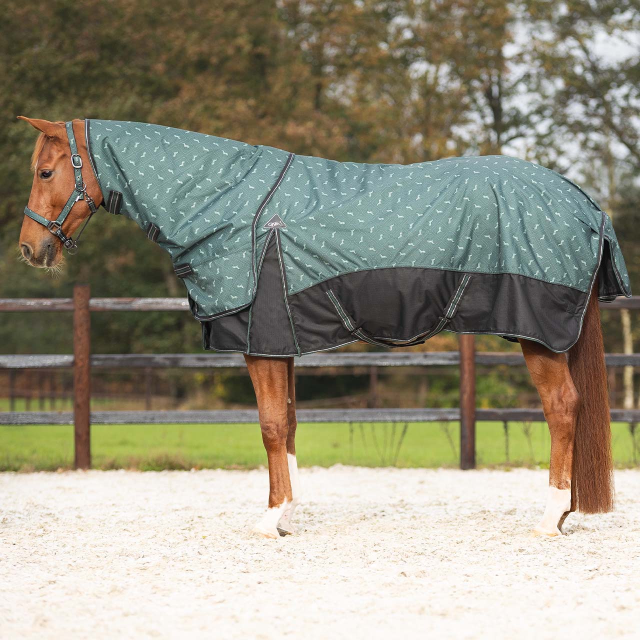 Turnout rug with detachable neck by QHP