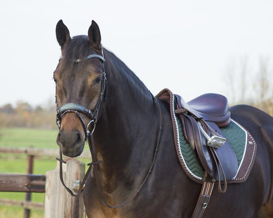 Shiva Saddle Pad Pony size