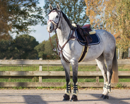 Ontario All-Purpose Girth Pony and Cob sizes