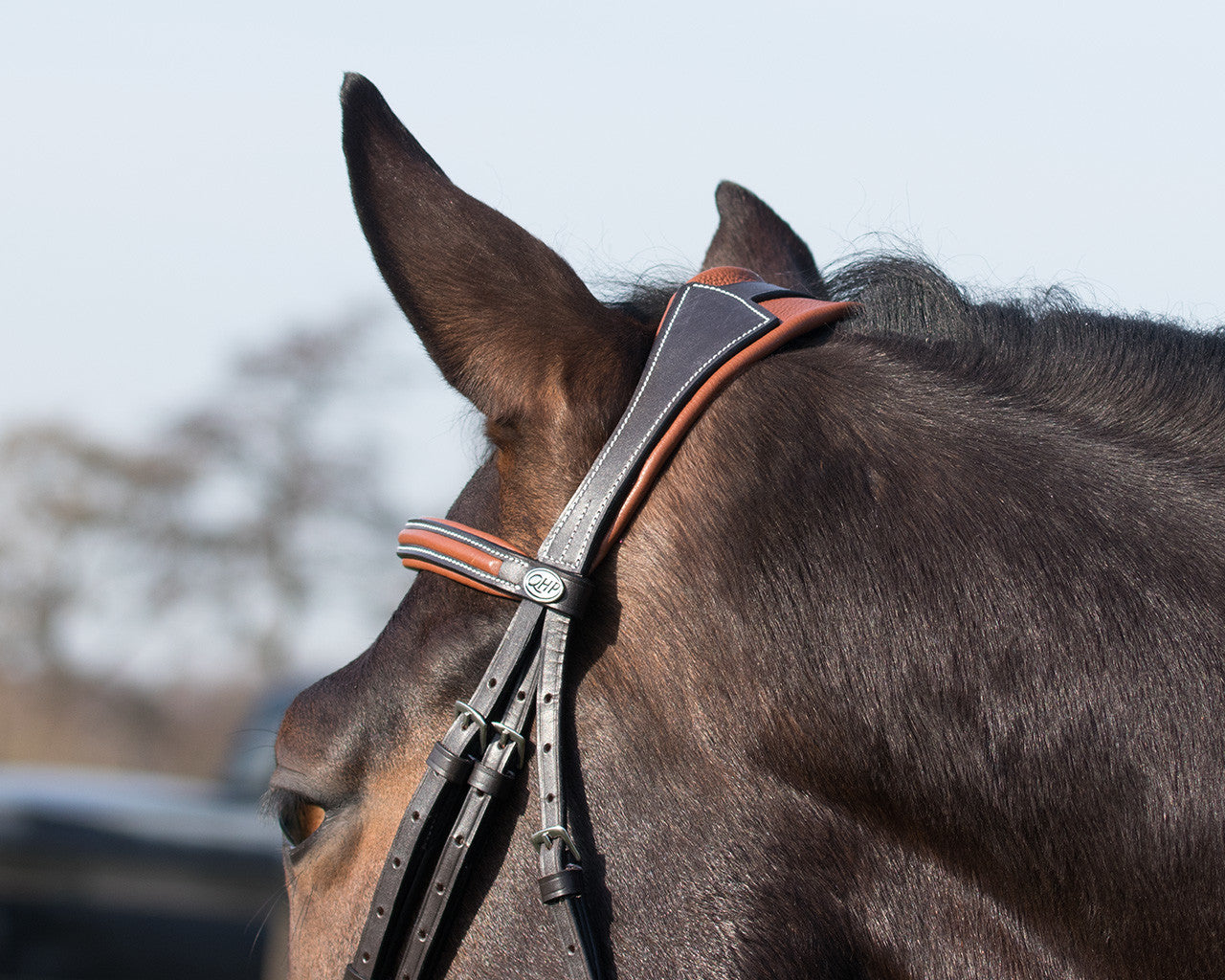 Freya Bridle by Brands of Q