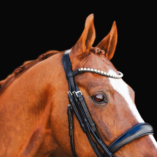 Abigail Double Bridle cob size by Lumiere