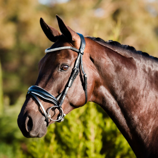 Adeline Bridle with flash by Lumiere full size