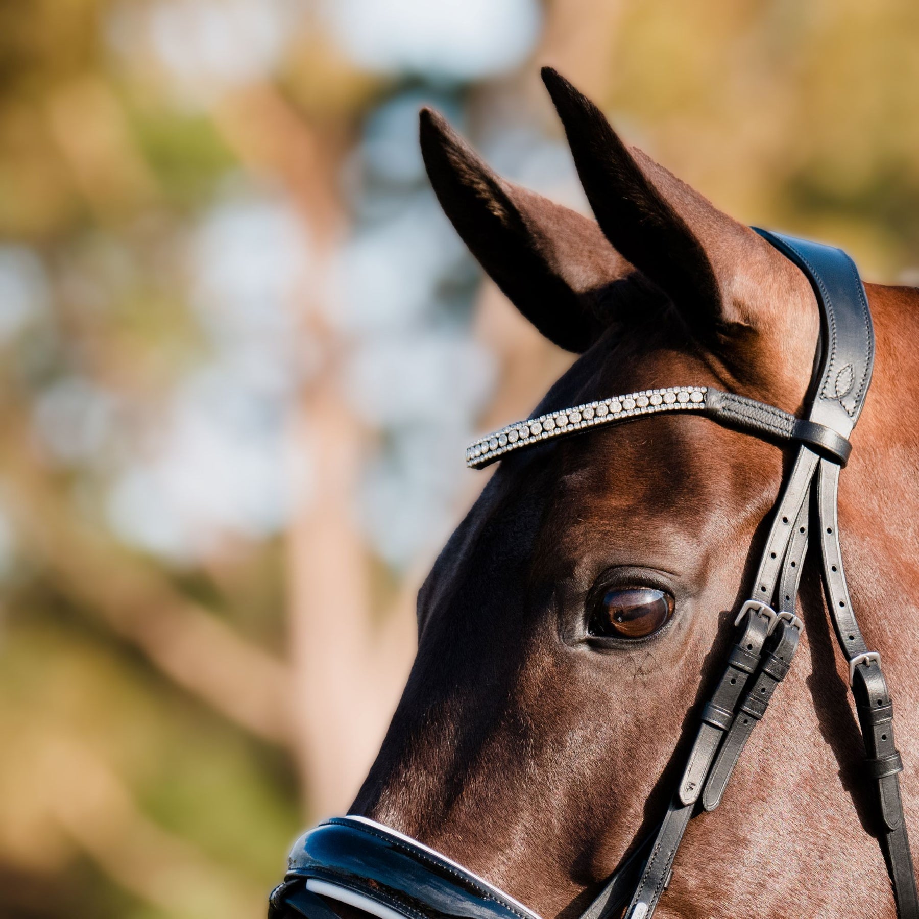 Adeline Bridle with flash by Lumiere full size