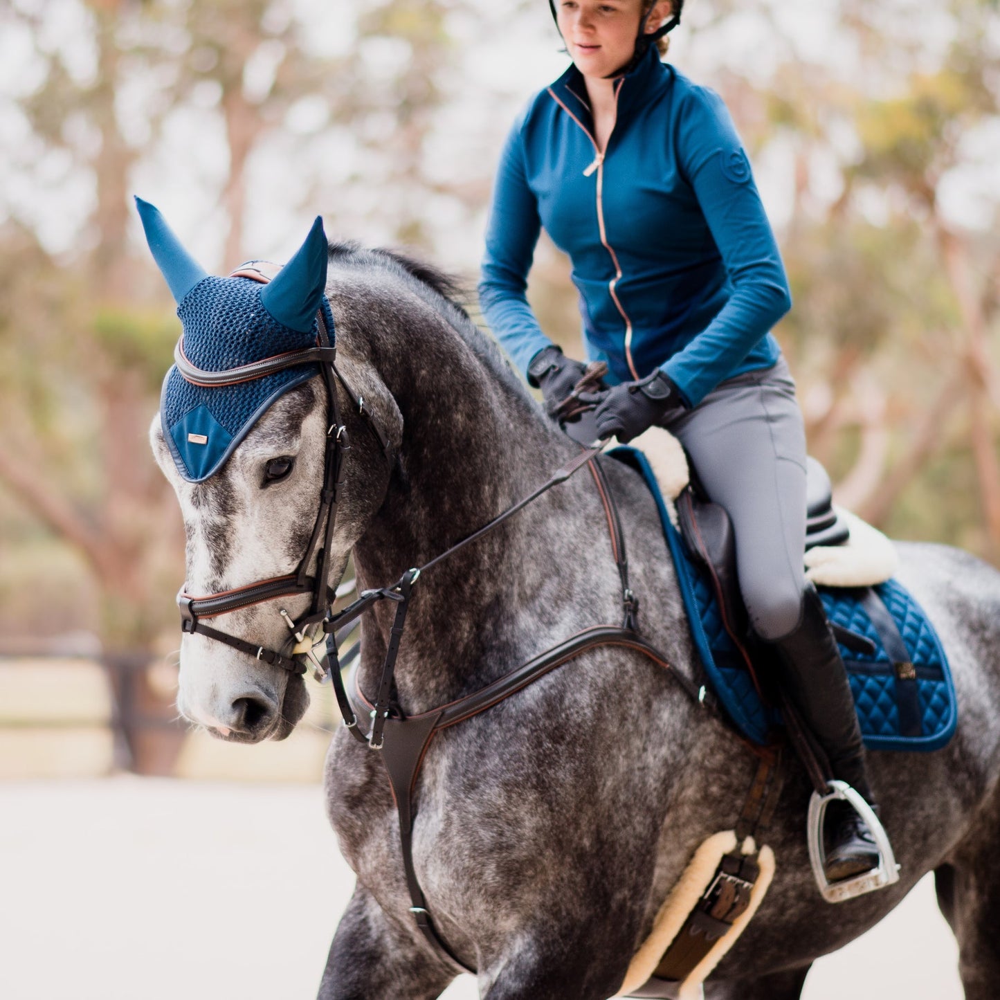 Amour Bridle Brown by Lumiere cob size